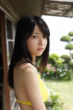 森林里的熊先生 冬眠中
